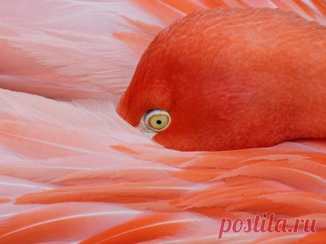 Умиротворённая красота, которая нас окружает.
Настраивая себя на лучшее, мы высвобождаем в своем мозгу магнетическую силу, которая по закону притяжения влечет к нам все самое лучшее.
 Поразительно, как устойчивое предвосхищение всего самого лучшего приводит в действие такие мощные силы, которые заставляют его материализоваться.