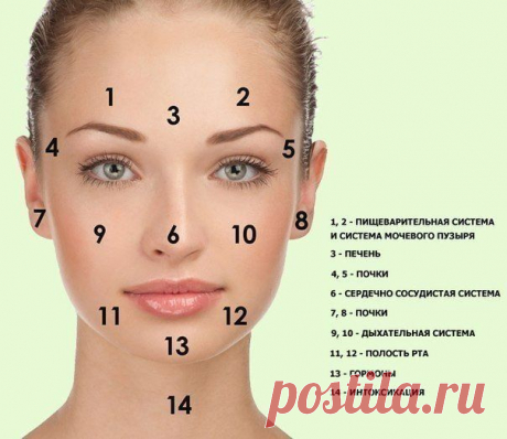 Новости