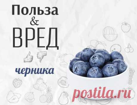 Чем полезна черника: калорийность и полезные свойства черники — 2018