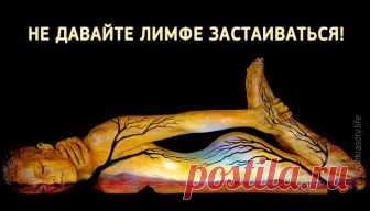 НЕ ДАВАЙТЕ ЛИМФЕ ЗАСТАИВАТЬСЯ! НЕ ДАВАЙТЕ ЛИМФЕ ЗАСТАИВАТЬСЯ! Двигаться кровь по артериям заставляет мышечный сосудистый орган — сердце, движение крови по артериям и венам обеспечивается — сердечно клапанным строением, далее строением сосудистой и артериальной системы.

Лимфатическое русло не имеет подобного «привода». Движение лимфы медленное и обеспечивается посредством мышц. Главная мышца для привода в движение лимфы — диафрагма. Это своего рода «сердце» лимфосистемы. П...