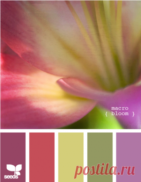 Цветы, деревья — источник вдохновения! | BepHuK собирает друзей