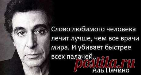Мои закладки