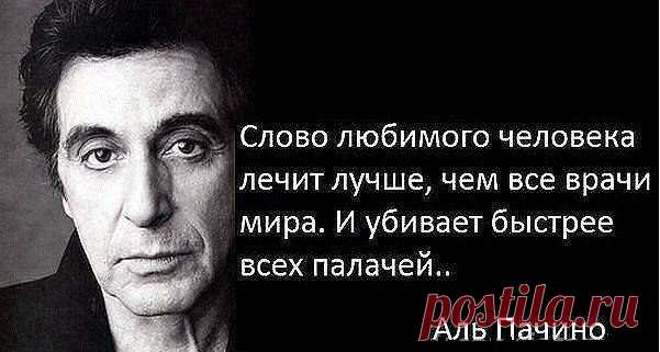 Мои закладки