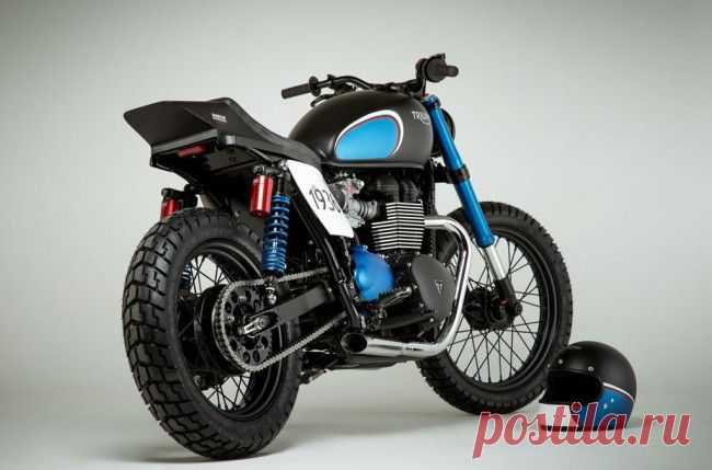 Triumph представляет новые модели мотоциклов Venom и BIT1 Street Tracker — автоновости по теме Вело и мото на moymotor.ru