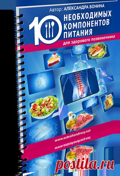 10 необходимых компонентов питания для здорового позвоночника