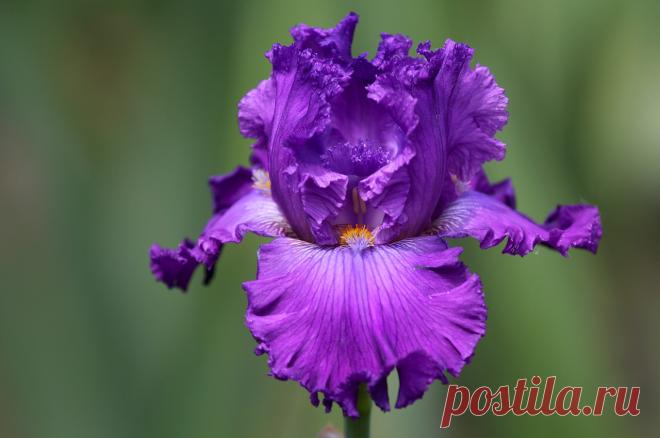 (21) Мой Мир@Mail.Ru