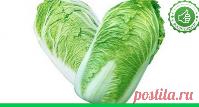 ТОП-6 Салатов с Пекинской Капустой - Adfave - Эдфейв