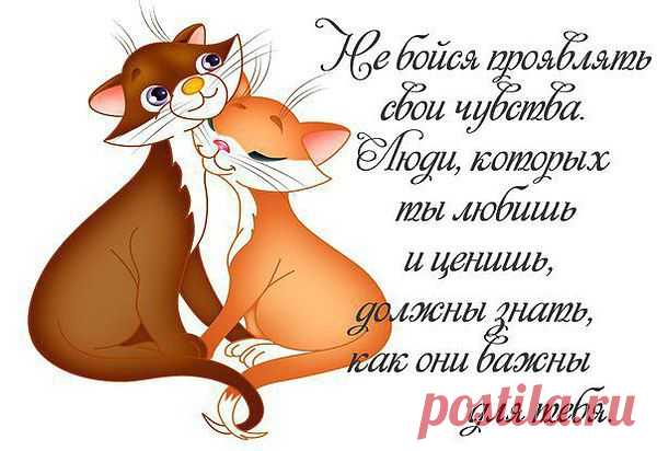 Жизнь прекрасна во всех проявлениях!!!