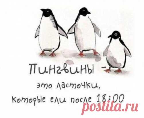 (8) Одноклассники