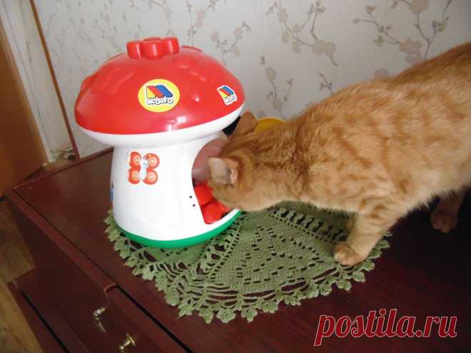 Любопытство не порок, а где же скатерть?