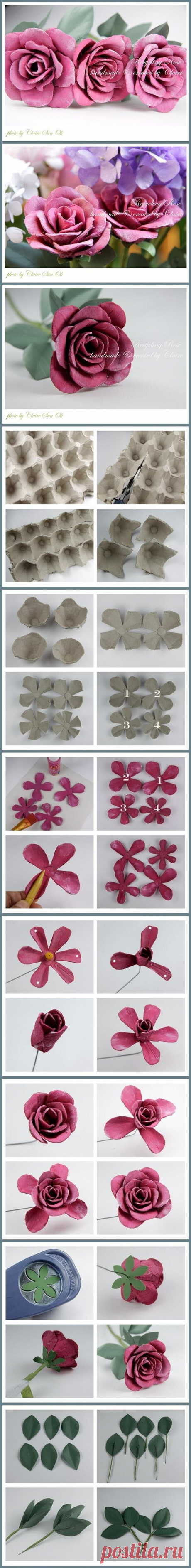 DIY Upcycle Egg Box Roses | Buzz + Inspired