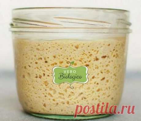 Закваска для хлеба по Калвелю | ЛЮБОВЬ ПРУСИК | Яндекс Дзен