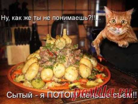 Пусти верблюда на обед