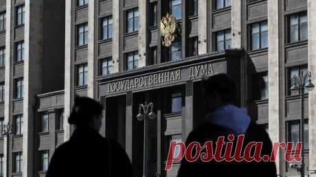В Госдуме призвали в Год семьи определить статус многодетности
