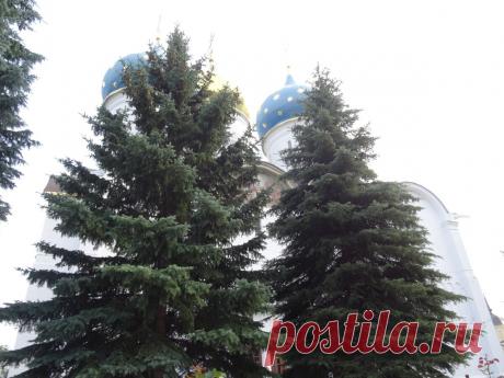 Что делать, когда тебя больше нет: обращение к женщине
Часто возникает такой момент, что ты понимаешь: тебя больше нет. Есть чужие ожидания, смесь обязанностей и долгов, желание кого-то порадовать, потребность о ком-то заботиться, много ниточек ответственности, несколько глоточков абсурдности. Но тебя больше нет. Однажды ты понимаешь, что просто не узнаёшь себя в зеркале. Ты не понимаешь, откуда взялись эти морщины и седые волоски. Ты […]
Читай пост далее на сайте. Жми ⏫ссылку выше