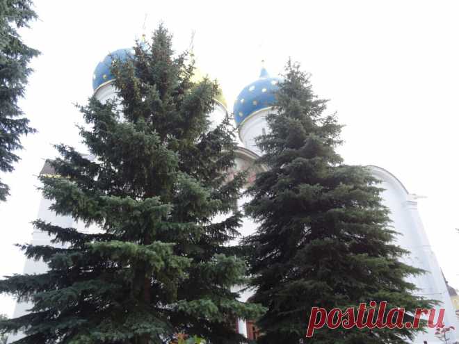 Что делать, когда тебя больше нет: обращение к женщине
Часто возникает такой момент, что ты понимаешь: тебя больше нет. Есть чужие ожидания, смесь обязанностей и долгов, желание кого-то порадовать, потребность о ком-то заботиться, много ниточек ответственности, несколько глоточков абсурдности. Но тебя больше нет. Однажды ты понимаешь, что просто не узнаёшь себя в зеркале. Ты не понимаешь, откуда взялись эти морщины и седые волоски. Ты […]
Читай пост далее на сайте. Жми ⏫ссылку выше