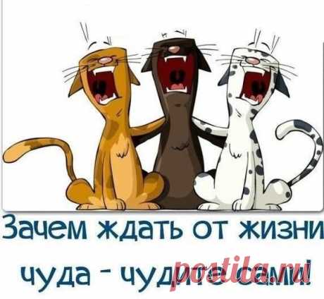 (2) Facebook