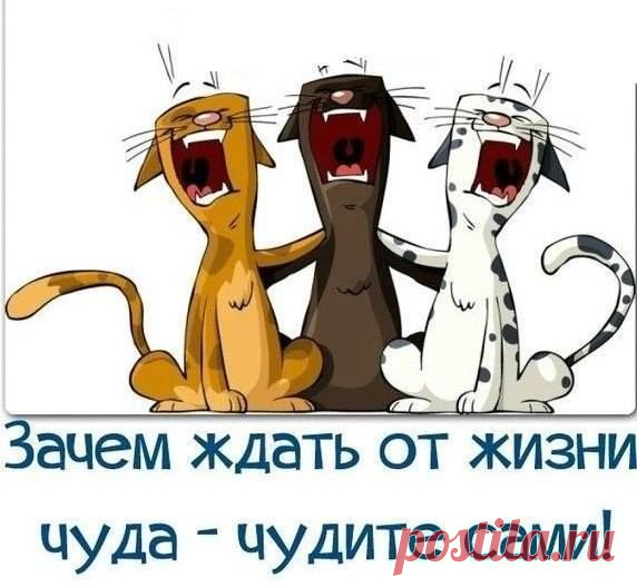 (2) Facebook