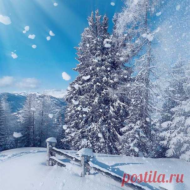 Хорошего зимнего настроения!!!😊😊😊