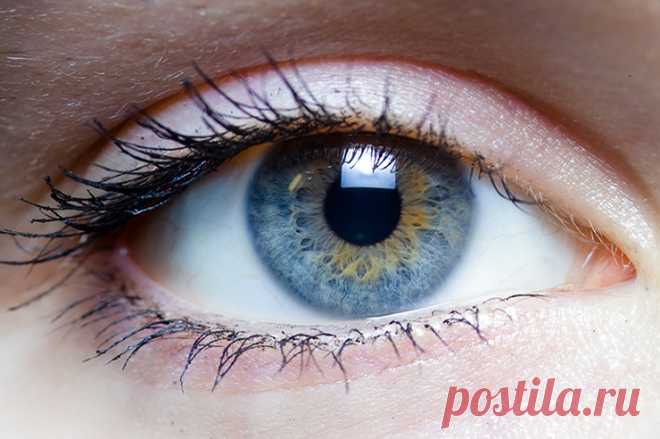 К чему чешется Правый Глаз — Примета по дням недели Примета 👁️ К чему чешется Правый Глаз у девушки, женщины, мужчины 🤔. Что значит если Правый Глаз зачесалась в понедельник, во вторник, среду, четверг, пятницу, субботу или в воскресенье