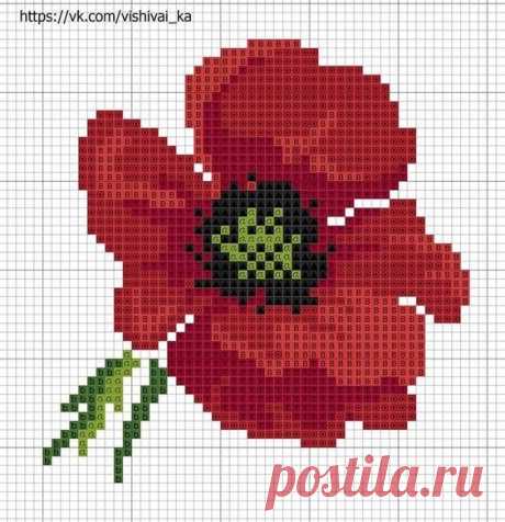 Pinterest