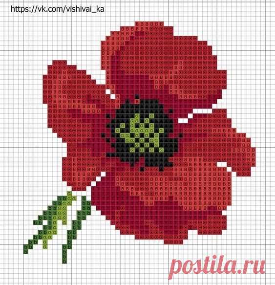 Pinterest