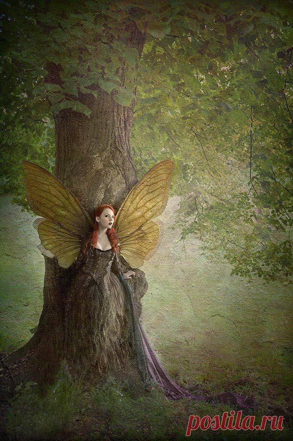 The Fairy Village - Фото | Facebook