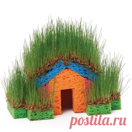 зеленый домик