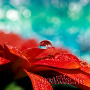 wallpaper by Sirik on Indulgy.com