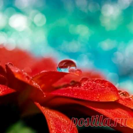 wallpaper by Sirik on Indulgy.com