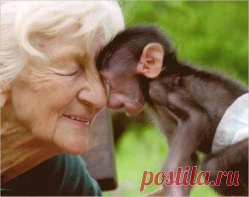 Привлекаем Любовь в свою Жизнь!