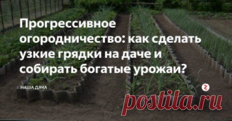 Прогрессивное огородничество: как сделать узкие грядки на даче и собирать богатые урожаи? Вы не ослышались, да-да.  Сторонники системы утверждают, что урожаи, выращенные на узких грядках в полтора, а то и два раза щедрее, нежели при традиционном ведении огорода. При этом трудозатрат на узких грядках - меньше, площадь посадок, соответственно, также уменьшается.