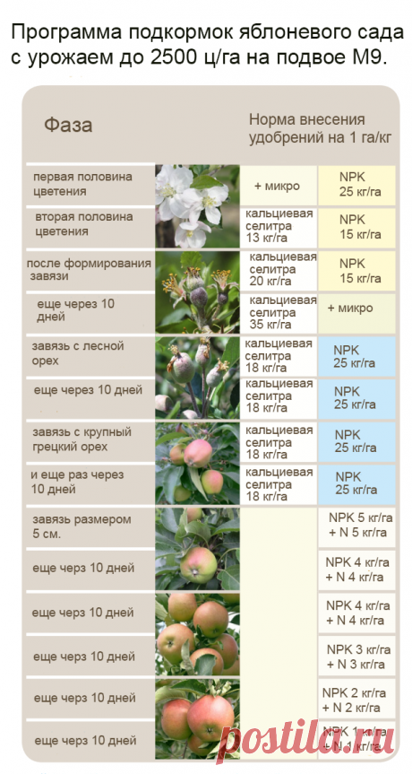 file.php (619×1161)