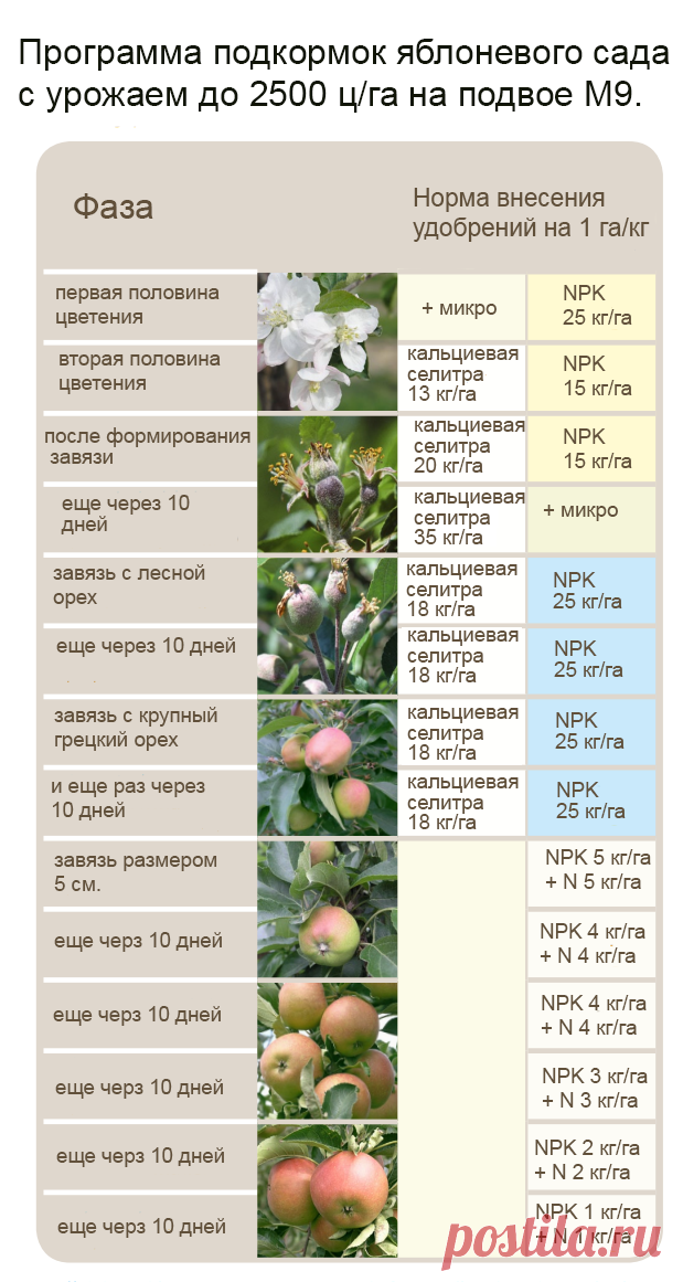 file.php (619×1161)