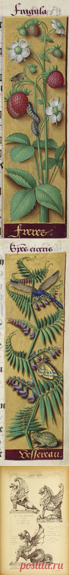 Орнаменты в Pinterest