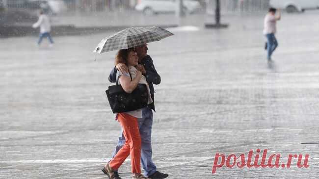 В Подмосковье за сутки выпала месячная норма осадков