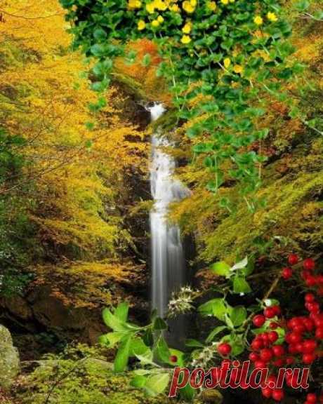 Belle nature