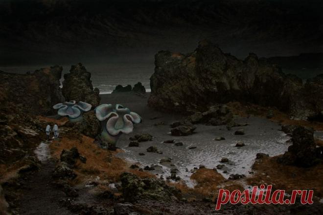 Секретные материалы правительства (133 фото)