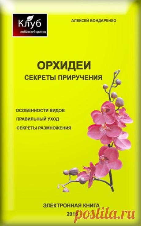 Клуб любителей цветов | Комнатные, садовые цветы