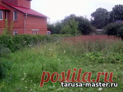 Недвижимость в г. Таруса, Тарусском районе. - г. Таруса, участок 8 соток * 750 тыс. руб.
