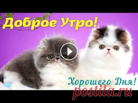 С Добрым Утром! Хорошего Дня! Пусть День будет словно Цветок, таким же Ярким и Чудесным! С. Чекалин С Добрым Утром! Хорошего Дня! Пусть День будет словно Цветок, таким же Ярким и Чудесным! С. Чекалин...