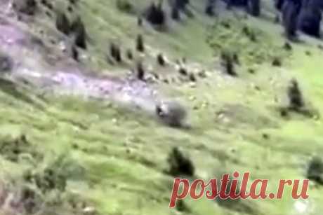Смертельное ДТП с тремя туристами в Грузии попало на видео. В Грузии, на перевале Годердзи в высокогорной Аджарии, произошло смертельное ДТП с участием трех иностранных туристов. На кадрах видно, как автомобиль сорвался с горной дороги и перевернулся более 20 раз, оставляя за собой облако пыли. По предварительным данным, среди пассажиров был один ребенок — он погиб.