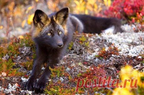 Мой Мир@Mail.Ru