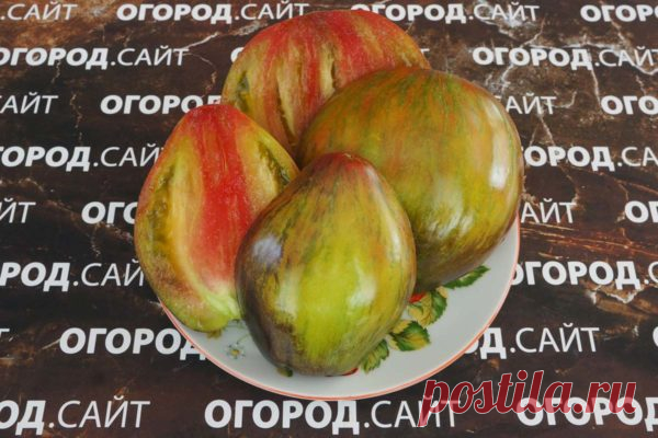 Томат Изумрудная карамель Елены, семена | ОГОРОД.сайт