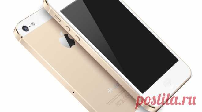 Первые отзывы об IPhone SE | Новости по интересам