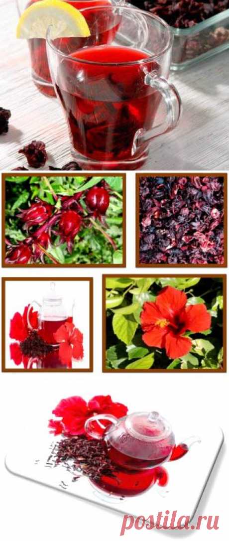 . Польза и вред | Советы Народной Мудрости