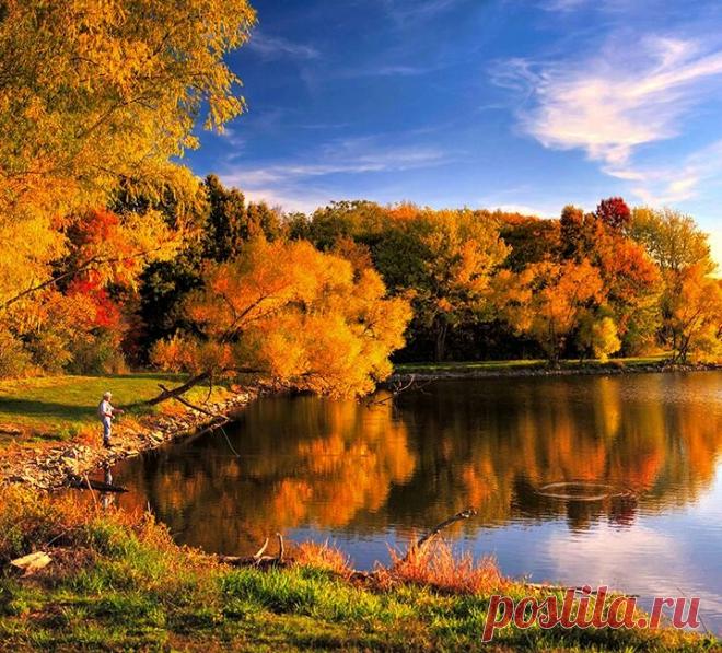 Это полезно знать! Что делать, если хищник не клюёт? | Рыбалка для людей | Яндекс Дзен