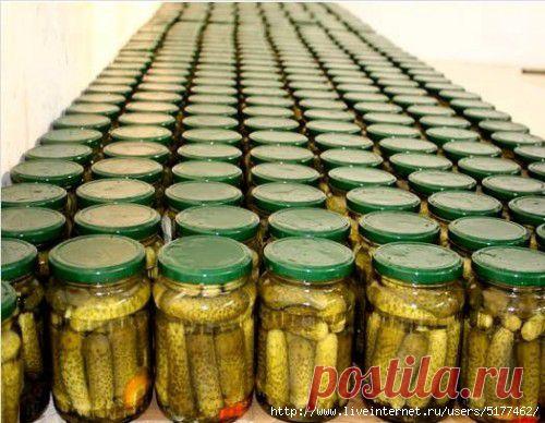 Рецепт консервирования огурцов на зиму