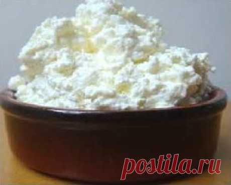 ЗЕРНИСТЫЙ ЦЕЛИТЕЛЬ | Советы Народной Мудрости