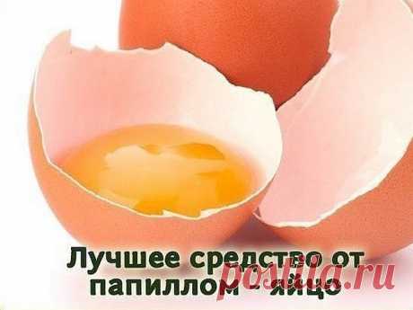 Лучшее средство по борьбе с папилломами - яйцо

Куриное яйцо помогает избавиться даже от многочисленных папиллом. Но его можно использовать только тем людям, которые не склонны к аллергическим реакциям. Наружное применение может спровоцировать аллергию даже в том случае, если вы без каких-либо проблем едите эти самые яйца. Если вы сомневаетесь, проведите тест – на небольшой участок кожи в области локтевого сгиба нанесите выбранное средство и оставьте на 10 минут. Если алле...